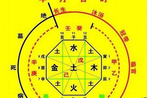 八字 十神|【基礎教學】八字十神是什麼？10個十神與格局說明